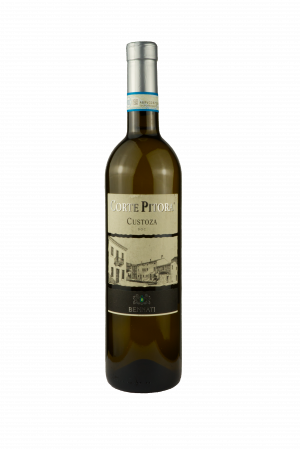 Corte Pitora Custoza 2019